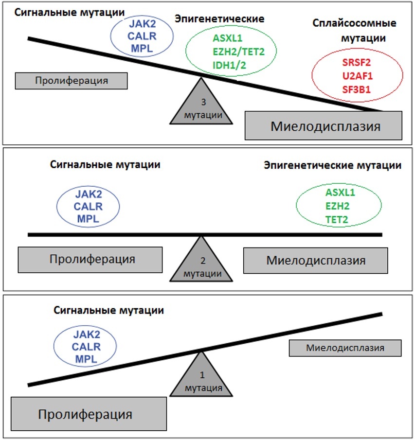 Миелопролиферативные новообразования - fiii6.jpg