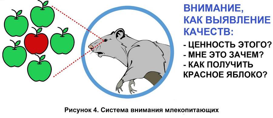 Перезагрузка сознания - _3.jpg