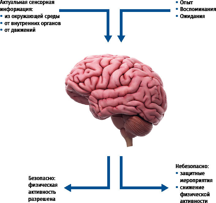 Нейроатлетика для улучшения реакции и скоростных характеристик. Скорость зарождается в мозге - i_003.jpg