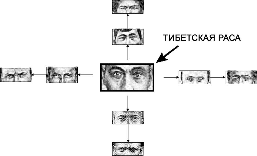 От кого мы произошли? - _31.jpg