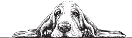 Скорый ветеринарный лечебник. Полный справочник по диагностике и лечению собак и кошек - i_001.jpg
