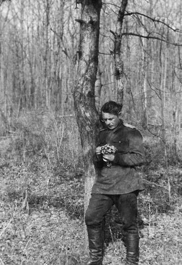 Большой букет подснежников - i_001.jpg