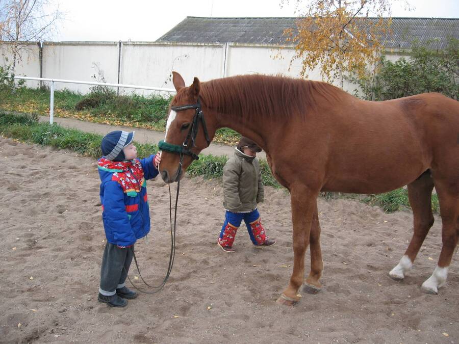 И только лошади летают вдохновенно - _6.jpg