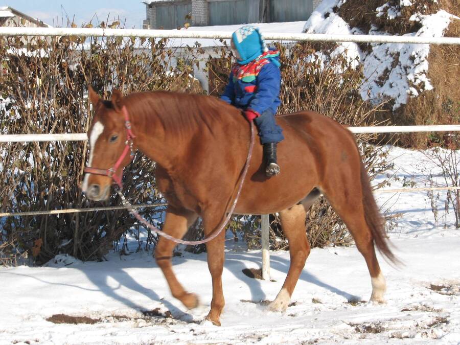И только лошади летают вдохновенно - _7.jpg