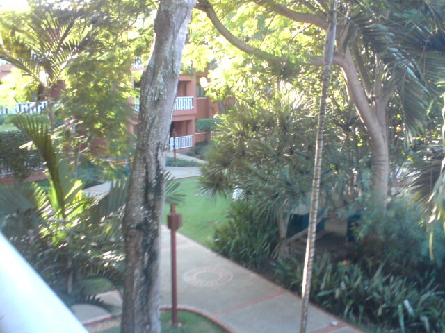 Золото - img_3.jpeg