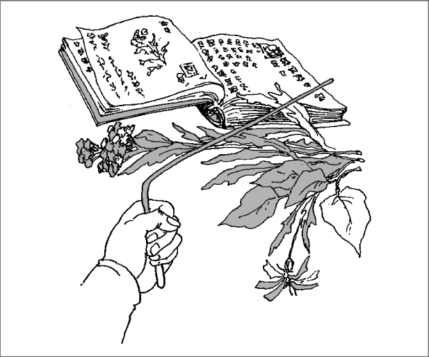 1100 исцеляющих заговоров и молитв - i_003.png