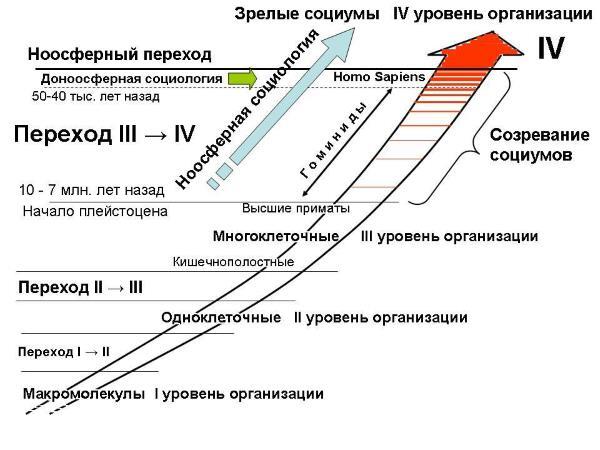 Ноосферное мышление. Часть II. Эволюция. Культура. Экспансия - i_004.jpg