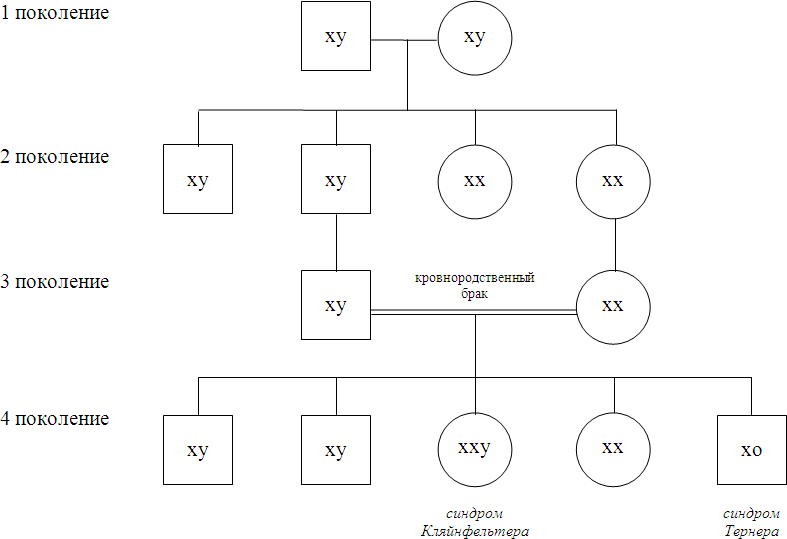 Женская логика. Полное собрание основных законов - i_004.png