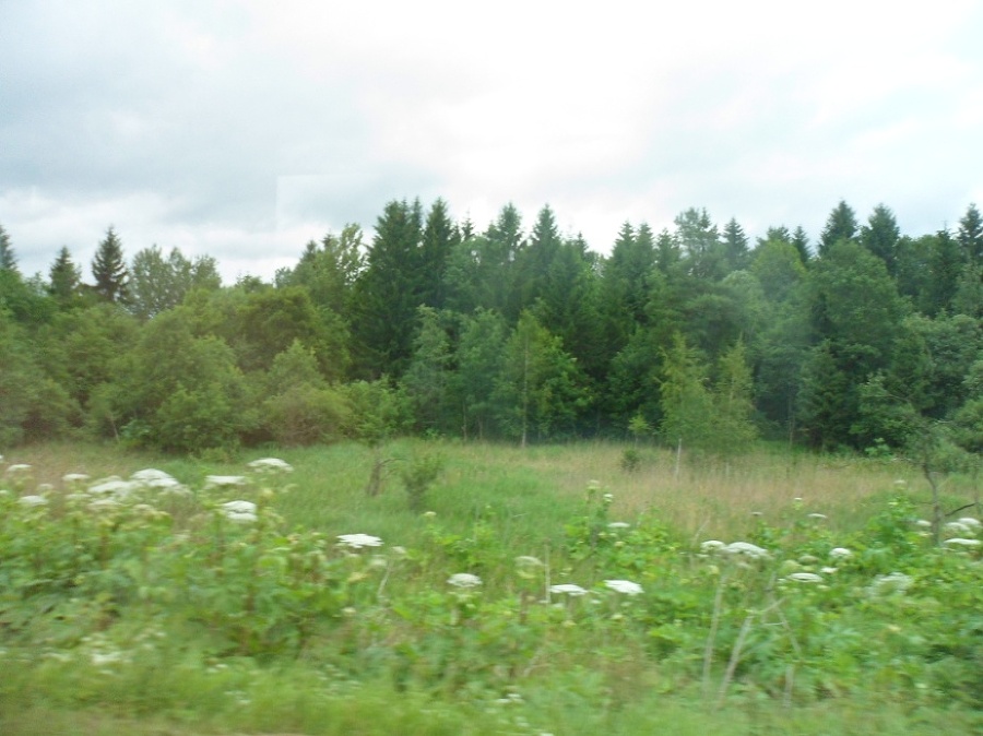 Путевые заметки. Санкт-Петербург. Пригороды. Великий Новгород. Псков - _3.jpg