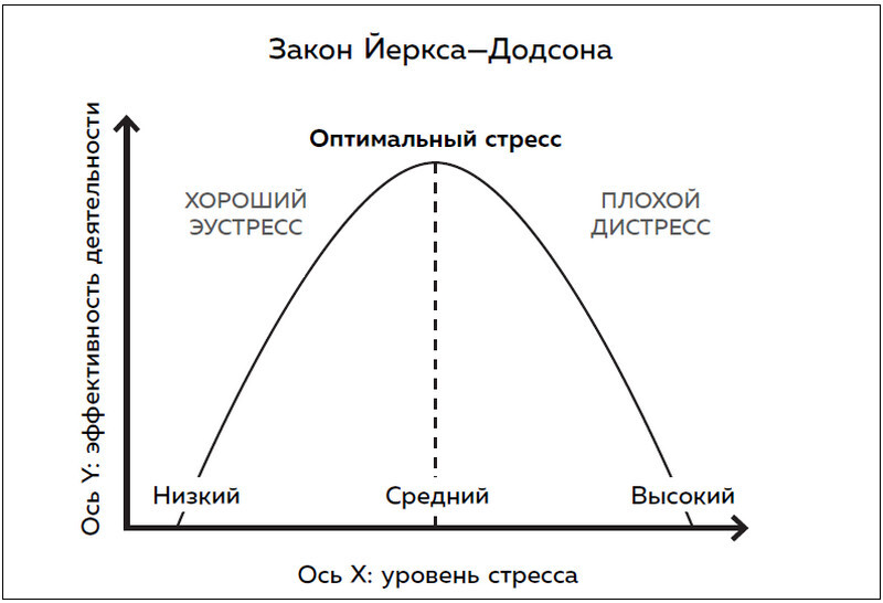 Пик разума. Сфокусируй внимание на продуктивности. Инвестируй в себя 12 минут в день - i_006.jpg