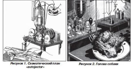 Бионика. Прошлое, настоящее и будущее - i_025.jpg