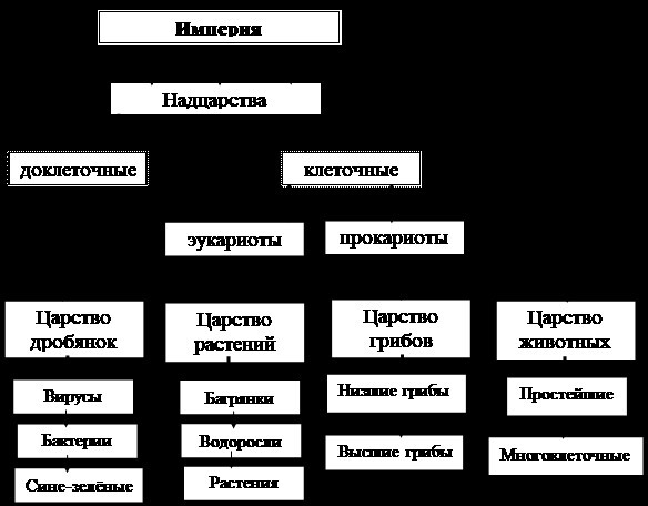 Бионика. Прошлое, настоящее и будущее - i_035.jpg