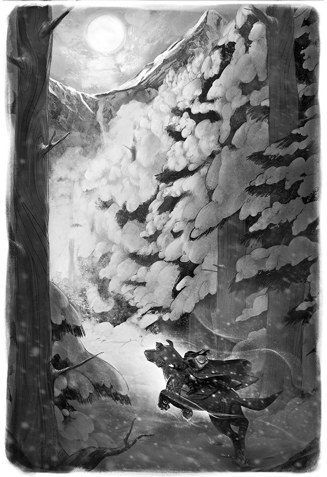 Рожденная огнем. Книга 1. Дюжина и Ледяной лес - i_005.jpg