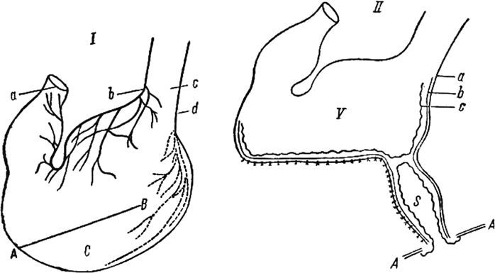 Естествознание и мозг. Сборник главных трудов великого физиолога - i_001.png