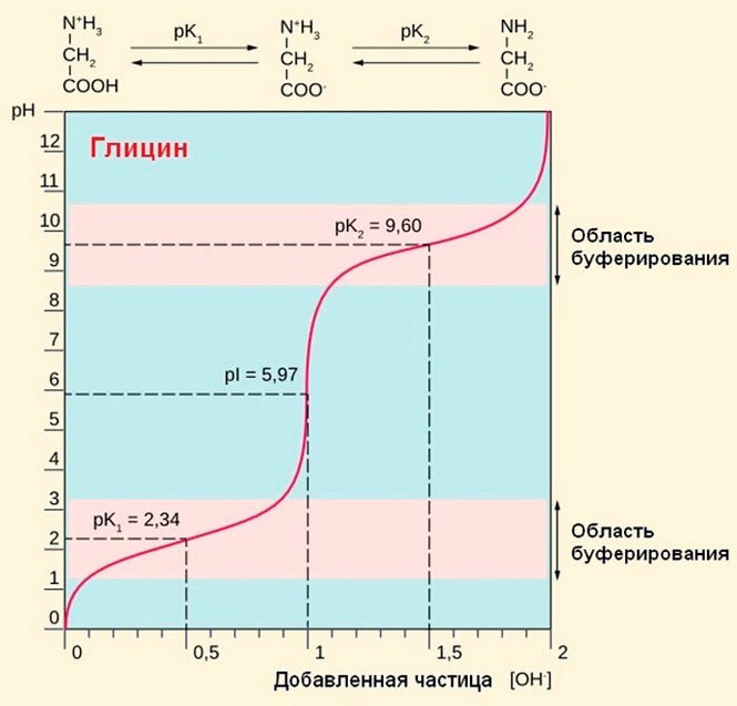 Сборник задач и упражнений по биохимии для студентов медицинских специальностей - i_014.jpg