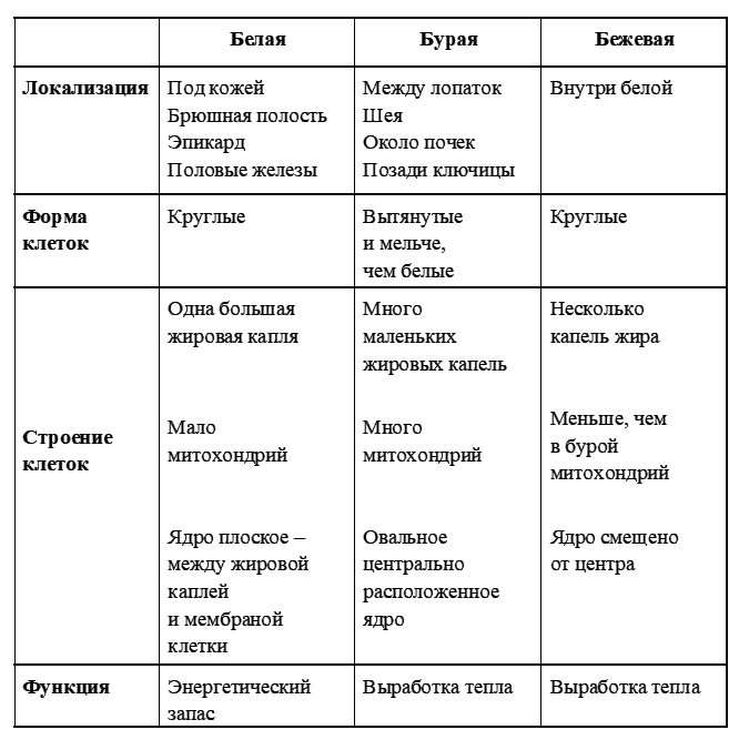 Homo sapiens под микроскопом - i_065.png