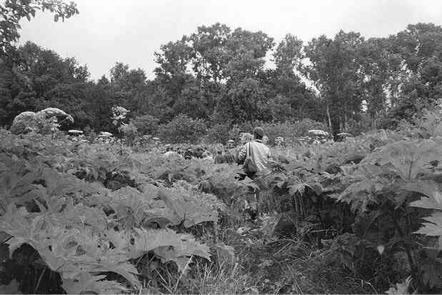 Я закрыл КПСС - i_027.jpg