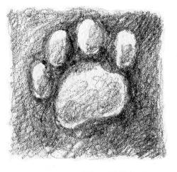 Кот Тихон и новые испытания - i_010.jpg