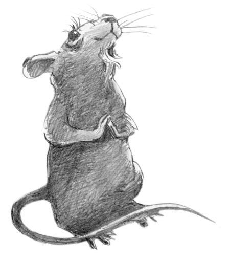 Кот Тихон и новые испытания - i_014.jpg