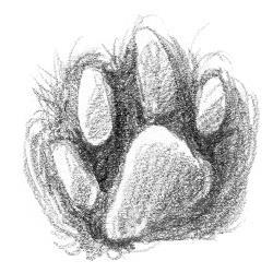 Кот Тихон и новые испытания - i_015.jpg