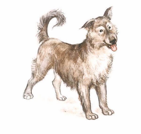 Частное пионерское - i_008.jpg