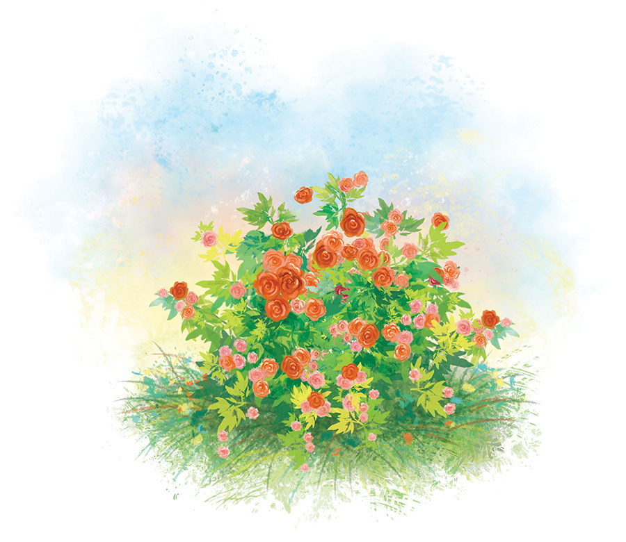 Игольное ушко - i_011.jpg