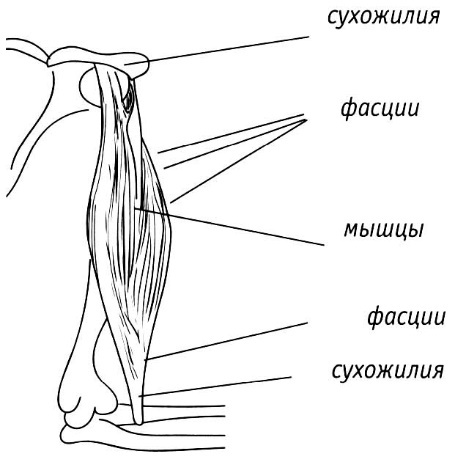 Медитируем стоя - picture33.jpg