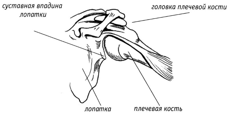 Медитируем стоя - picture63.jpg