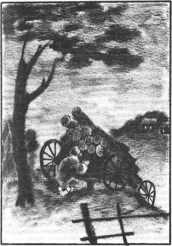 Волчицы из Машкуля - image10.jpg