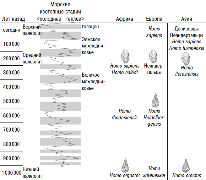 Неандертальцы. Недооцененные конкуренты Homo sapiens - i_002.png