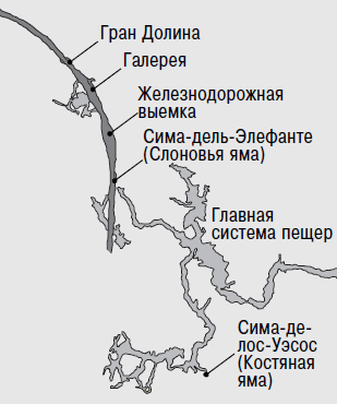 Неандертальцы. Недооцененные конкуренты Homo sapiens - i_009.png