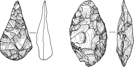 Неандертальцы. Недооцененные конкуренты Homo sapiens - i_015.png