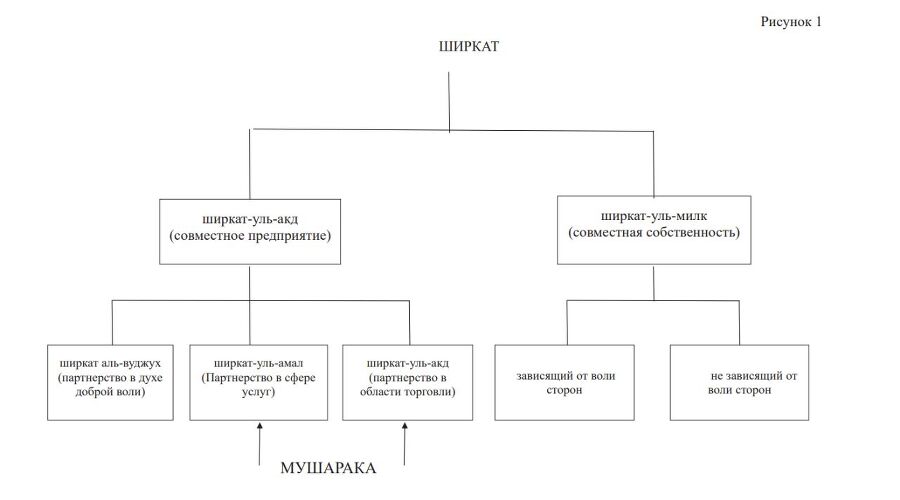 Исламские финансы - i_001.jpg