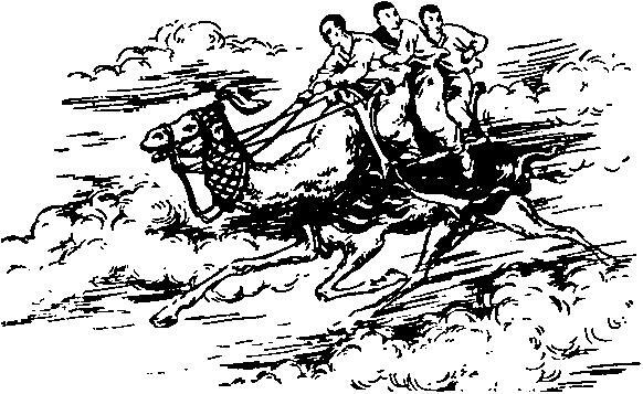 Восточная и Центральная Азия - i_063.jpg