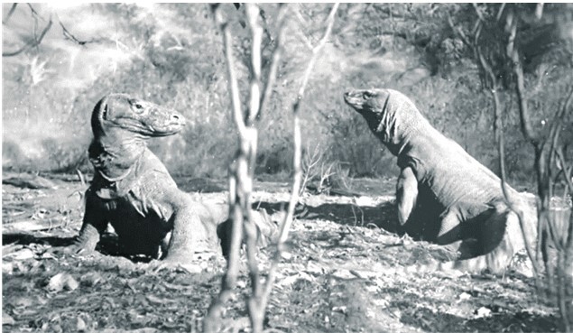 Ловушка для каравана - i_020.jpg