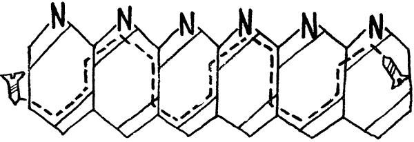 Глазами Монжа-Бертолле - i_055.png