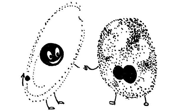 Глазами Монжа-Бертолле - i_061.png