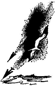 На суше и на море. 1961. Выпуск 02 - pic102.png