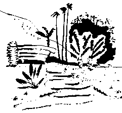 На суше и на море. 1961. Выпуск 02 - pic78.png