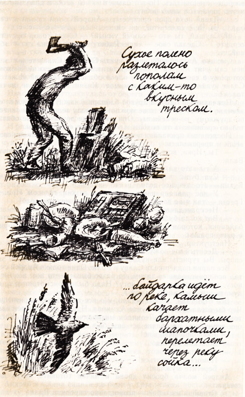 Лето с капитаном Грантом - _51.jpg