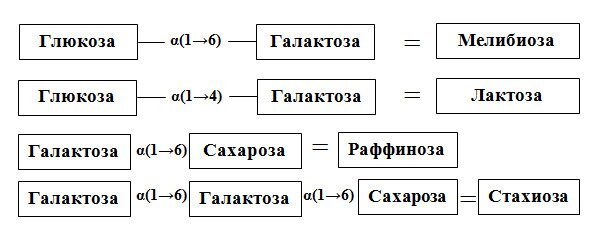 Эффективная диета при вздутии и боли в животе - image1_5fdf5c550b29bc000755f699_jpg.jpeg