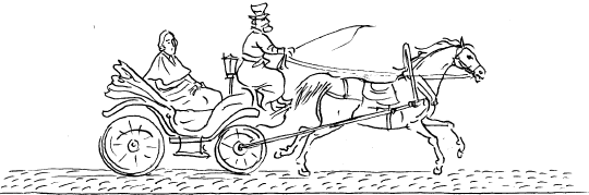 Петербургские повести (с иллюстрациями) - i_002.png