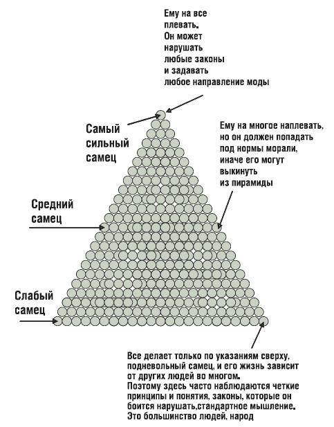 ЖЖизнь без трусов. Мастерство соблазнения. Жесть как она есть - i_003.png