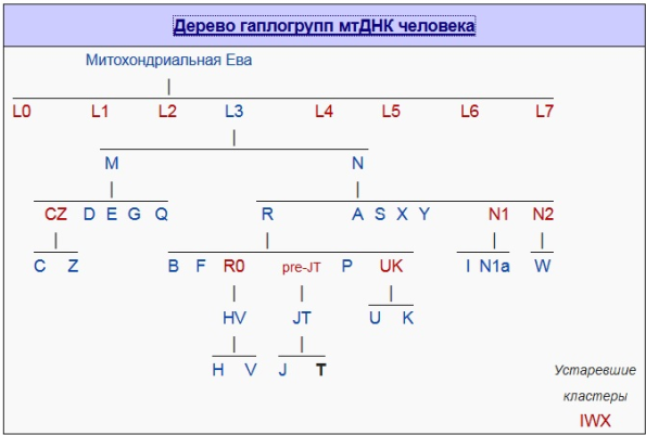 Адам и Ева - i_002.png