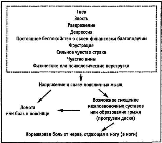 Причина твоей болезни. О чем вам не расскажут врачи - _05.jpg