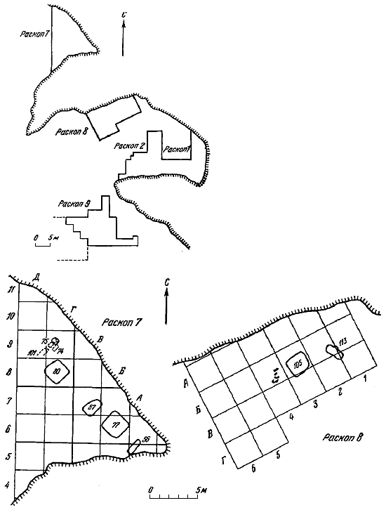 Волго-Камье в начале эпохи раннего железа (VIII-VI вв. до н. э.) - i_025.png