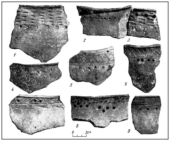 Волго-Камье в начале эпохи раннего железа (VIII-VI вв. до н. э.) - i_099.jpg