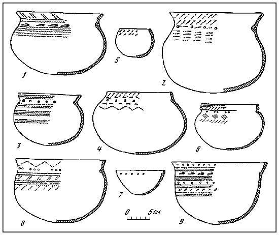 Волго-Камье в начале эпохи раннего железа (VIII-VI вв. до н. э.) - i_100.png