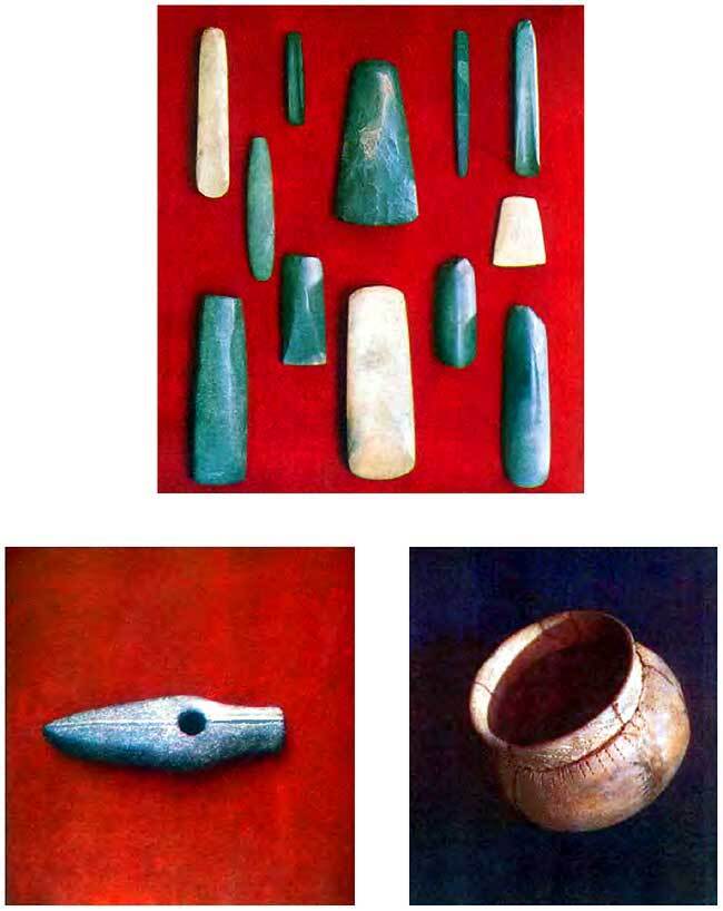 Эпоха бронзы лесной полосы СССР - i_015.jpg