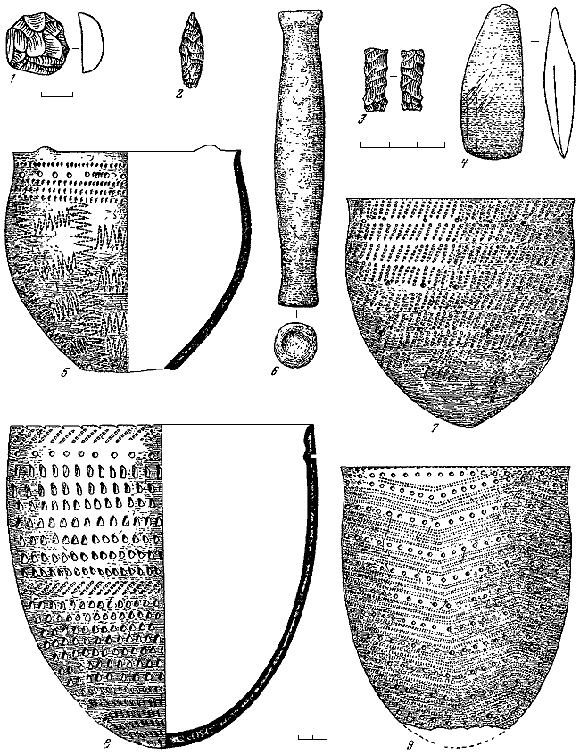 Эпоха бронзы лесной полосы СССР - i_153.png